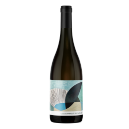 Champelés de Thieuley 2024 Blanc