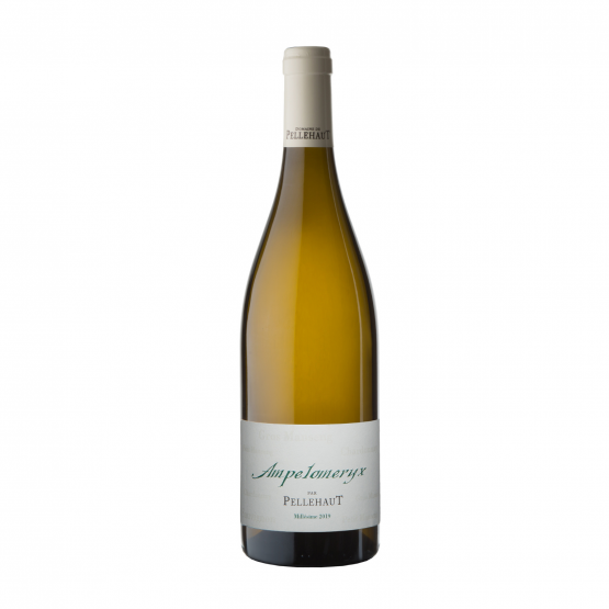 Ampélomeryx Blanc 2022 Domaine Mont d'Oraàs Domaine Mont d'Oraàs FR 6bis, chemin la Saline Domaine Mont d'Oraàs Domaine Mont d'Oraàs Domaine Mont d'Oraàs 6bis, chemin la Saline Domaine Mont d'Oraàs Domaine Mont d'Oraàs Domaine Mont d'Oraàs Domaine Mont d'Oraàs Domaine Mont d'Oraàs 6bis, chemin la Saline Domaine Mont d'Oraàs 6bis, chemin la Saline 6bis, chemin la Saline