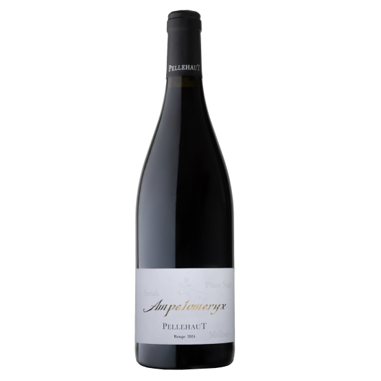 Ampélomeryx Rouge 2024 Domaine Mont d'Oraàs Domaine Mont d'Oraàs FR 6B Chemin la Saline Domaine Mont d'Oraàs Domaine Mont d'Oraàs Domaine Mont d'Oraàs 6B Chemin la Saline Domaine Mont d'Oraàs Domaine Mont d'Oraàs Domaine Mont d'Oraàs Domaine Mont d'Oraàs Domaine Mont d'Oraàs 6B Chemin la Saline Domaine Mont d'Oraàs 6B Chemin la Saline 6B Chemin la Saline